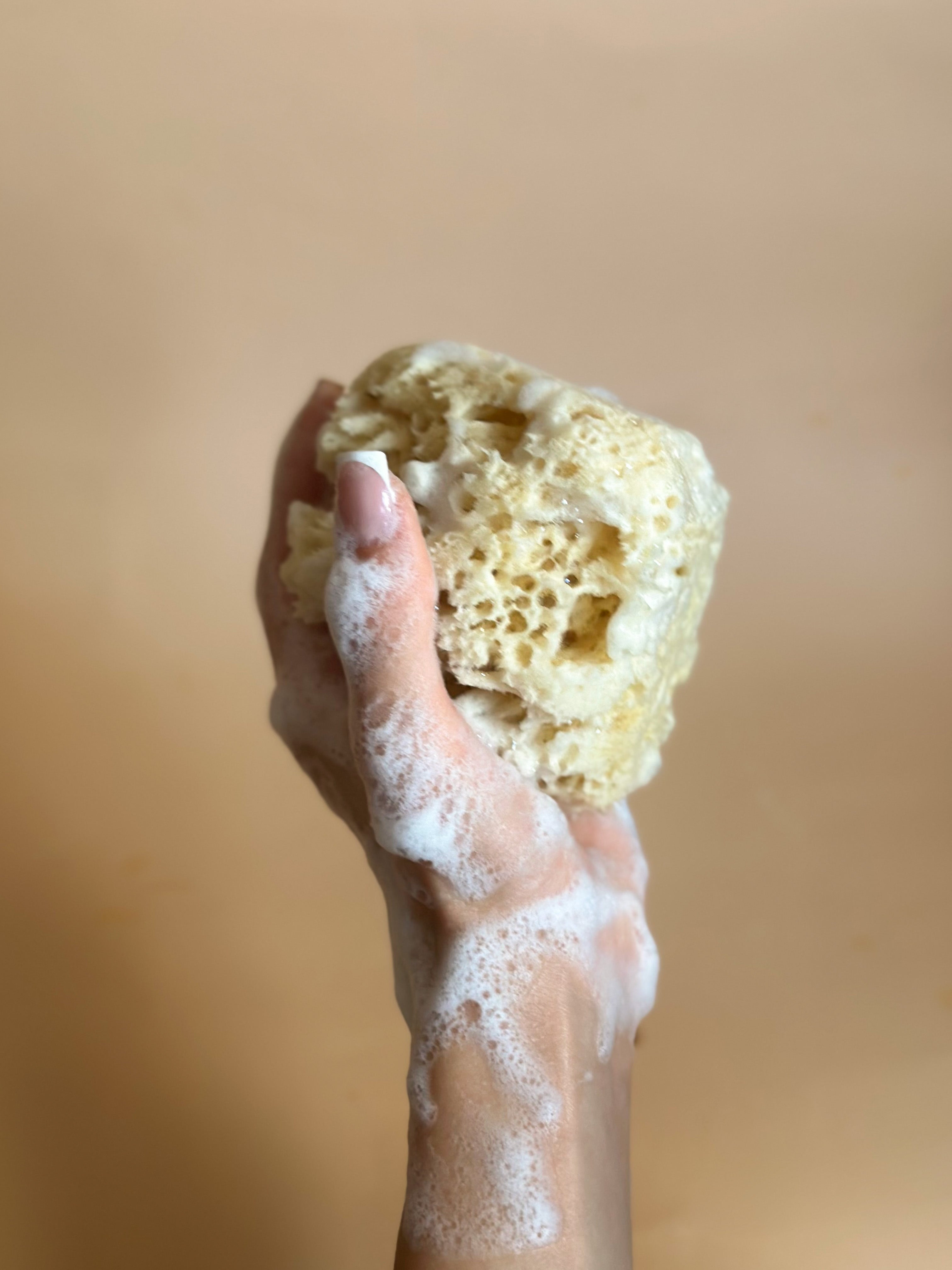 Natural Dead Sea Body Sea Sponge